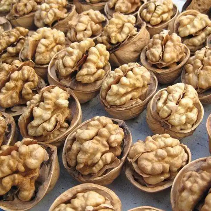 In Shell XinJiang Walnuts