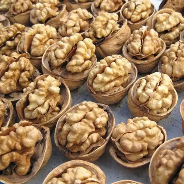 Wholesale  high-quality organic Xinjiang walnut kernel 185 paper shell walnut kernel in bulk Amazon’s best-selling products