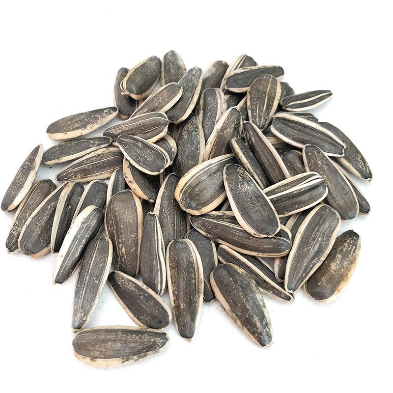 sunflower seeds