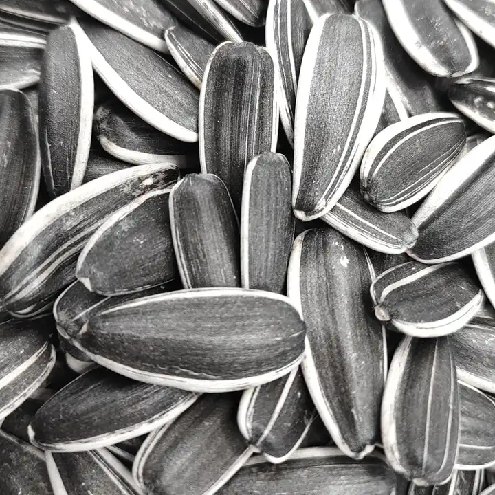 OEM ODM Chinese high quality organic Melon seeds bulk Sunflower seeds