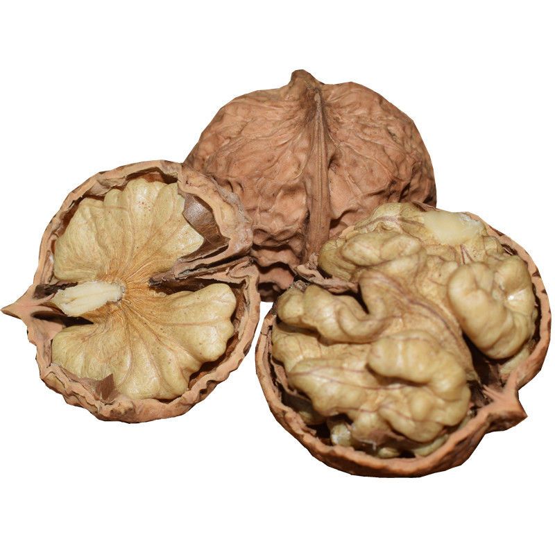 walnut