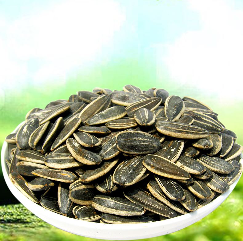 roasted sunflower seeds