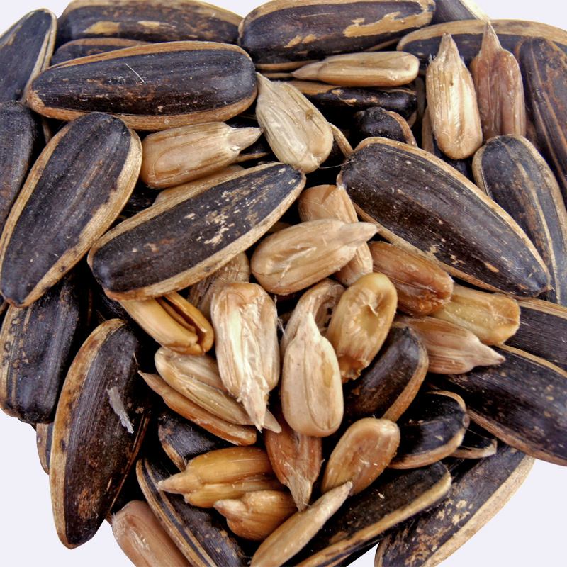 roasted sunflower seeds