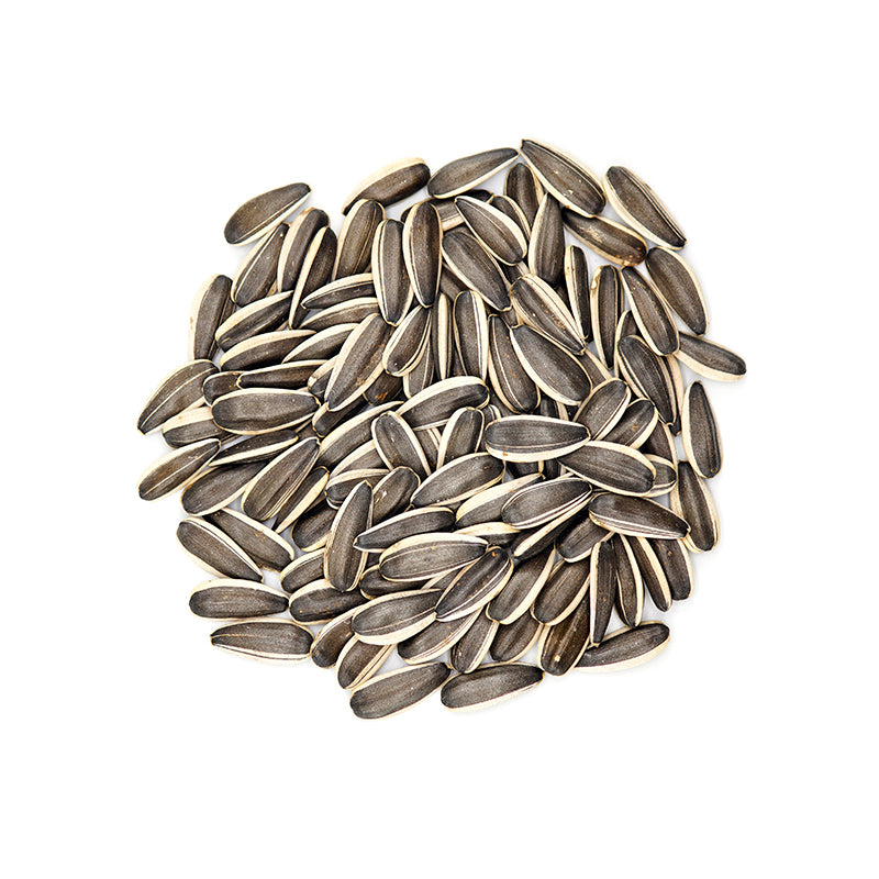 sunflower seeds