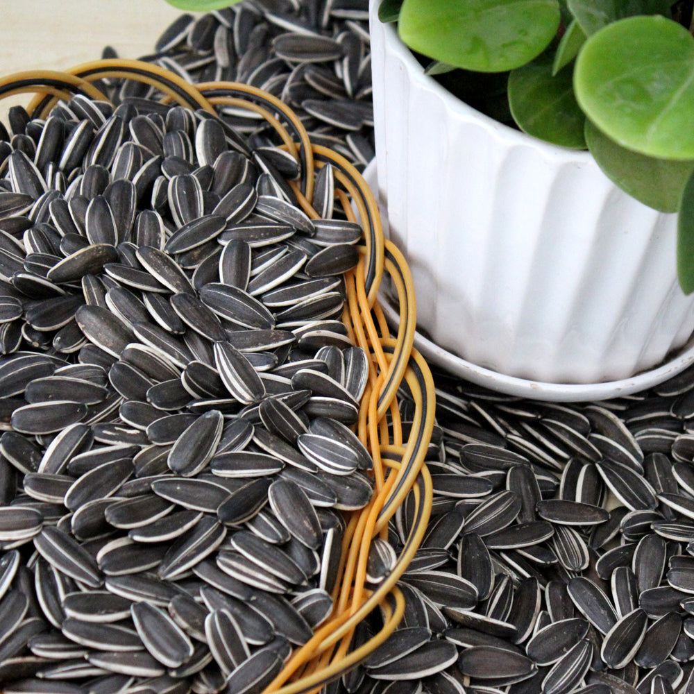 sunflower seeds