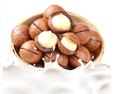 Instant Food Whole Macadamia Nut in Shell Creamy Taste