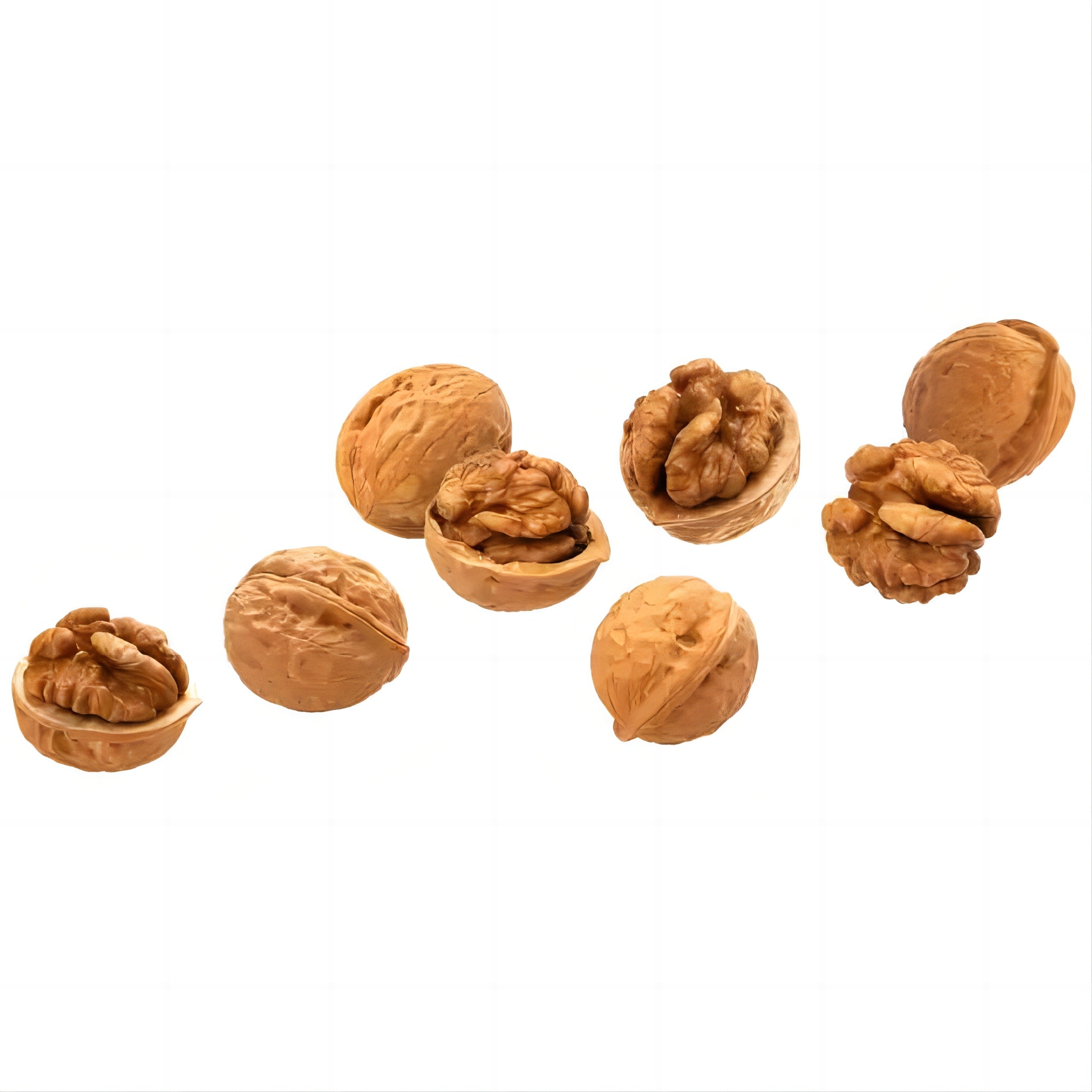 Walnuts Halves and Pieces