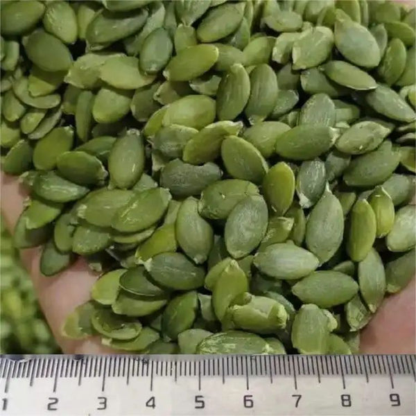 OEM ODM China Li Niu Niu Food Factory wholesale shine skin High nutrition Premium 10mm peeled pumpkin seed kernel no shell