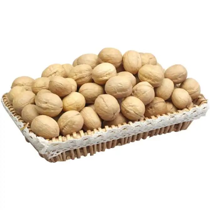 China walnuts Factory Supplier Wholesale Healthy inshell Organic walnuts Food with Walnuts kenrel