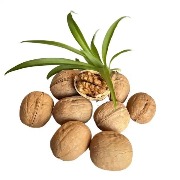 NUTS U.S. - Walnuts In Shell | Grown and Packed in California | Jumbo Size and Chandler Variety | Fresh Buttery Taste and Easy to Crack | Non-GMO and Raw Walnuts in Resealable Bags