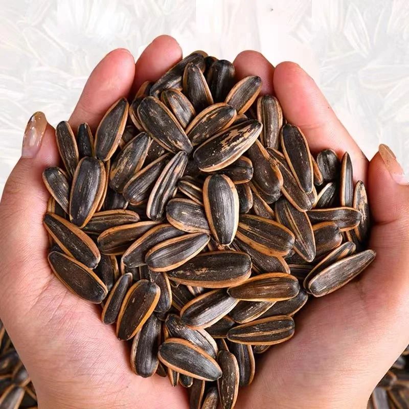  Seeds Ranch Flavored Salted and Roasted Jumbo Sunflower Seeds, Keto Friendly Snack