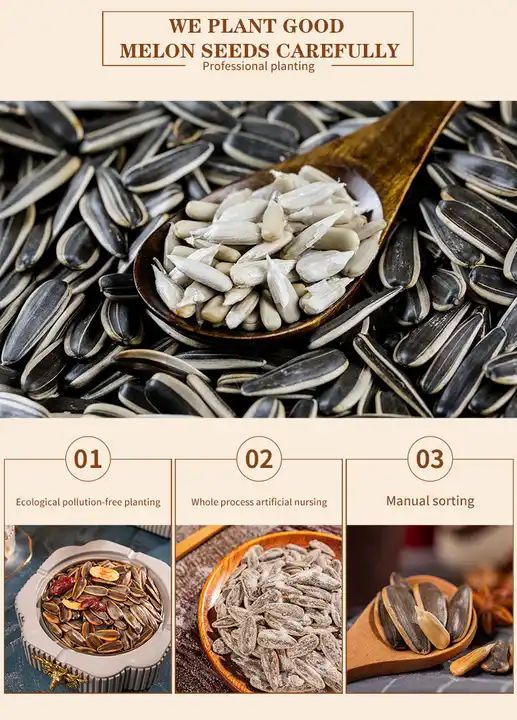 Inner Mongolia Original factory Supplier Jumbo Coconut Flavor Roasted Edible Sunflower Kernels Seeds