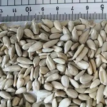 Wholesale Chinese Non GMO High Quality Good Price Organic Raw 361 Sunflower Seeds kernels