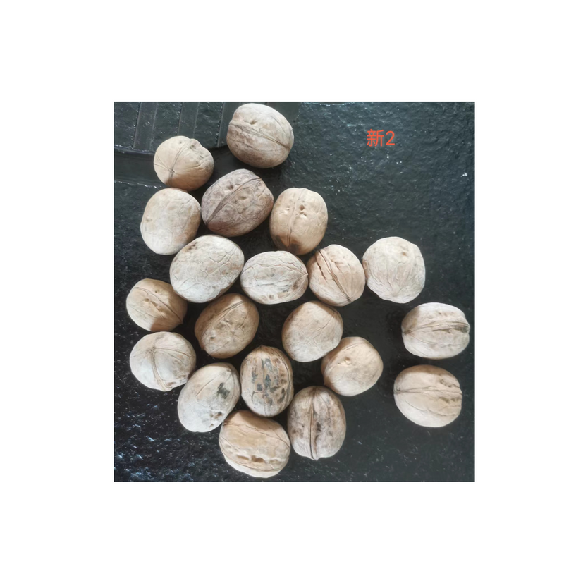 China Factory Wholesale New Product Washed Walnut 185 With Cheaper Price and High Quality