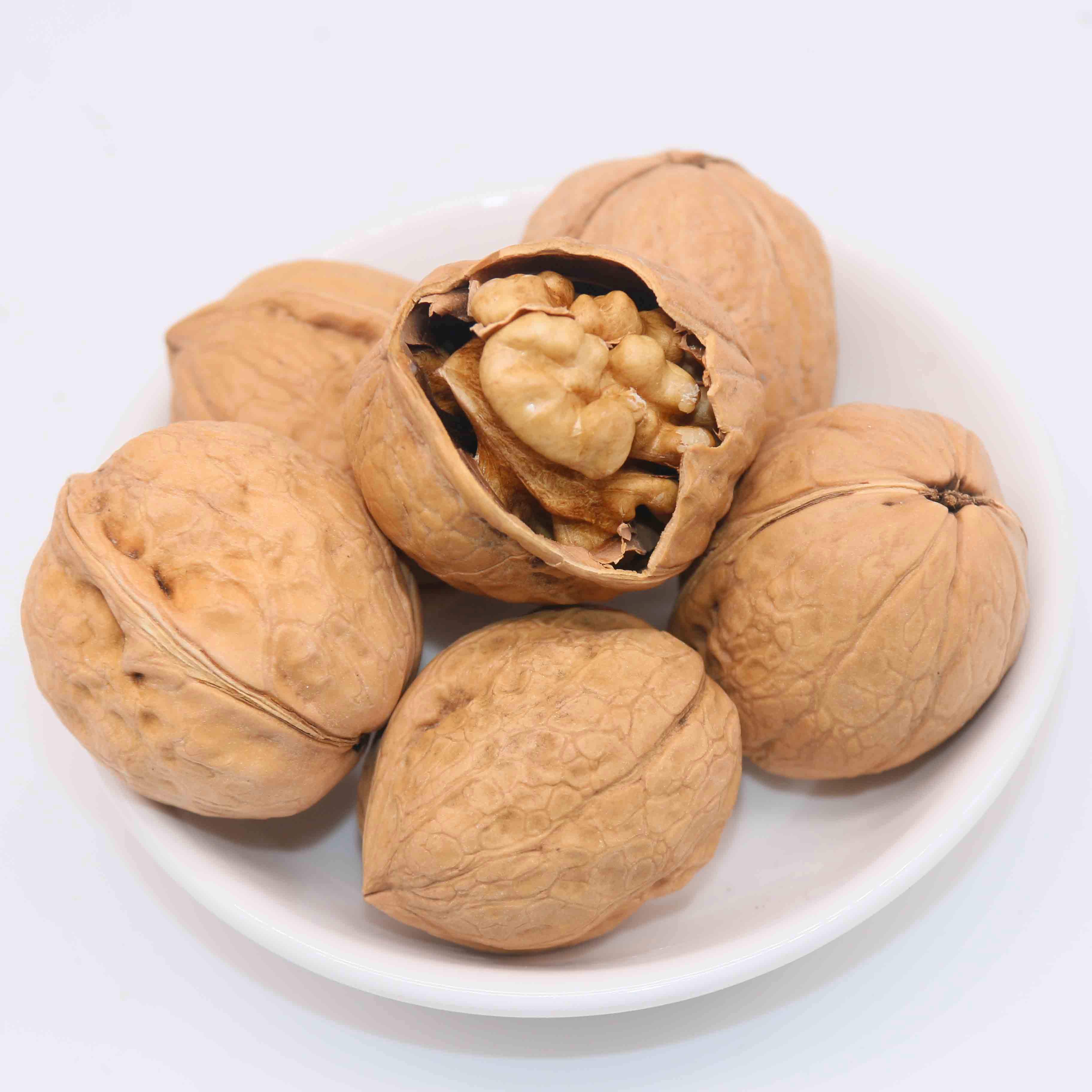 walnut kernels