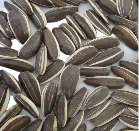 sunflower seeds