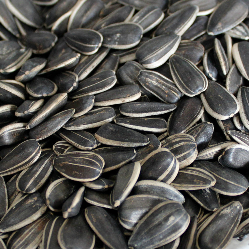 sunflower seeds