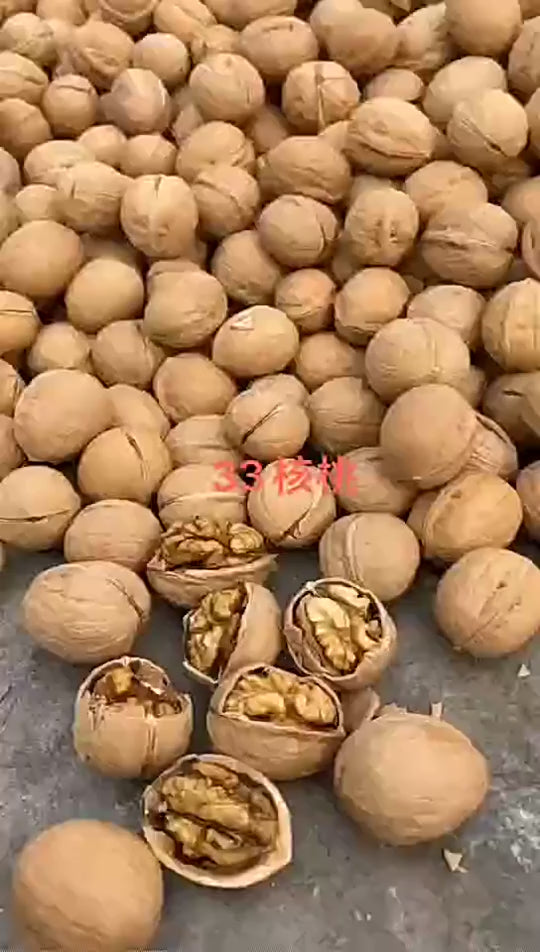 walnuts