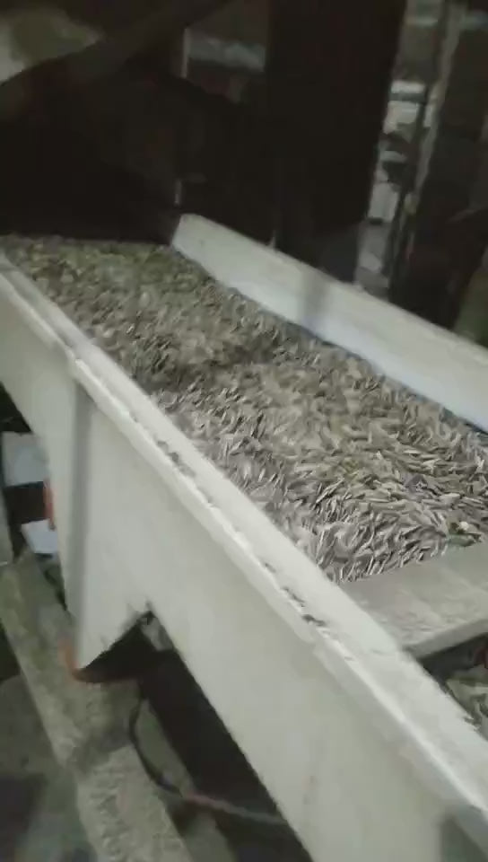 sunflower seeds raw material