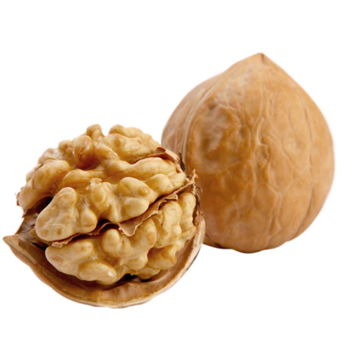 walnut