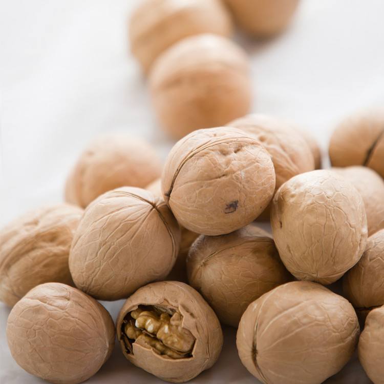 Chinese Chinese Raw 185 Paper WALNUTS In SHELL Exports Russia Delicious Light Brown 100% Natural Amazon’s best-selling products