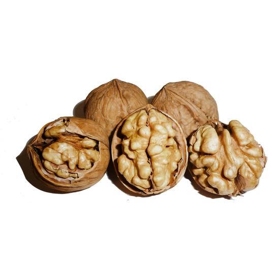 walnut