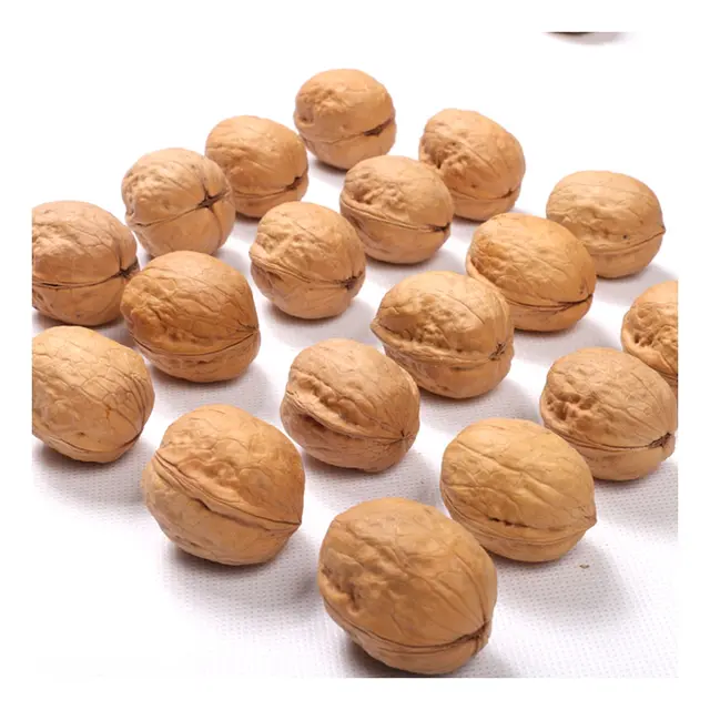 Xinjiang China walnuts Chinese 185 walnut in shell walnuts for sale cheaply