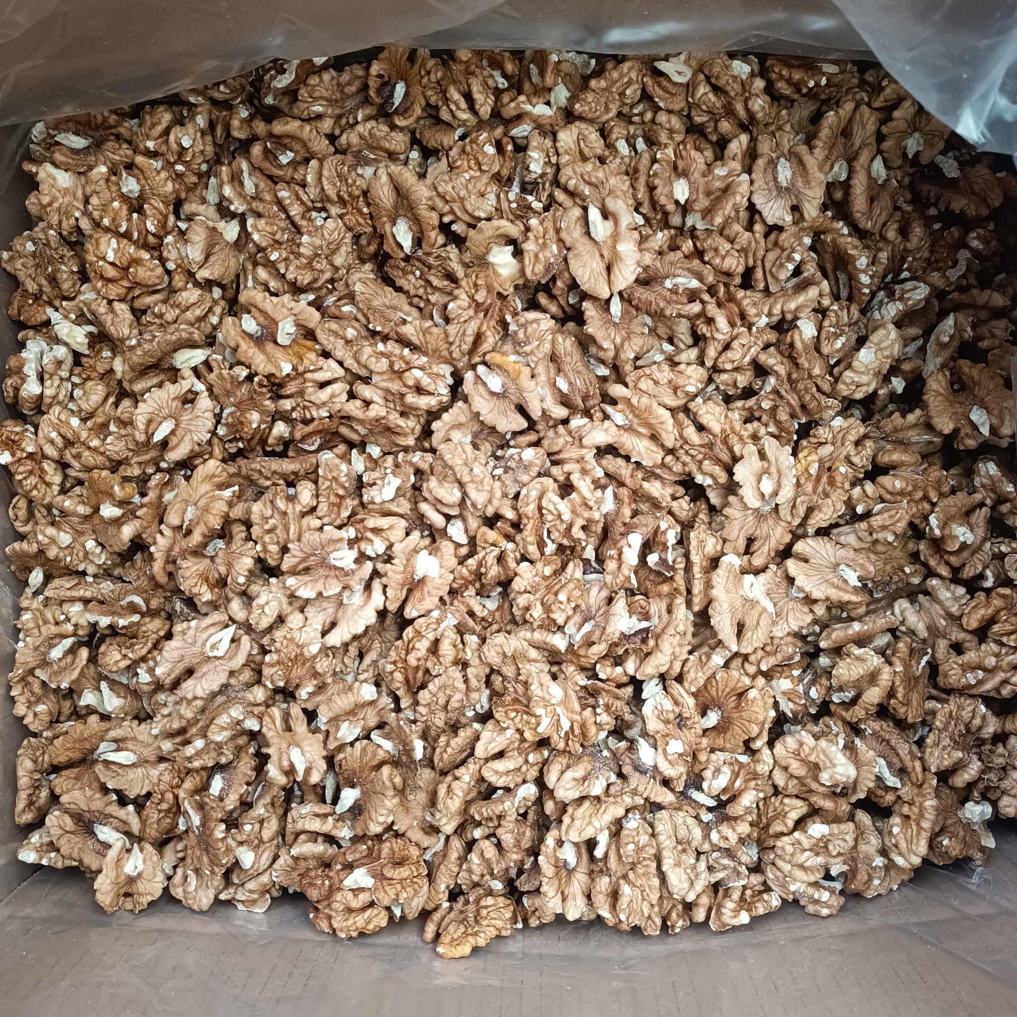 2023 hot sale xinjiang walnuts without shell xin2 walnut kernels with top quality and cheap price - Lnnuts