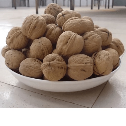 2023 Top quality Thin-skin paper shell Walnut 185 with shell in bulk wholesale - Lnnuts