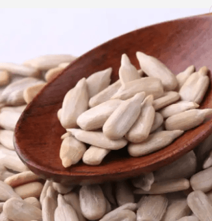 Bulk Quality Food Sunflower Seeds Wholesale sunflower seeds kernels raw - Lnnuts