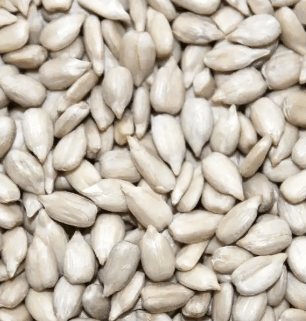 Bulk Quality Food Sunflower Seeds Wholesale sunflower seeds kernels raw - Lnnuts