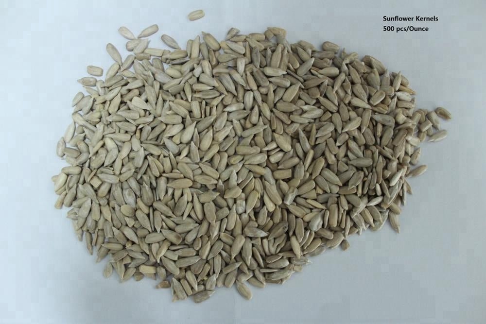 Bulk sale Best price sunflower seeds kernels raw dried confectionary grade from factory - Lnnuts