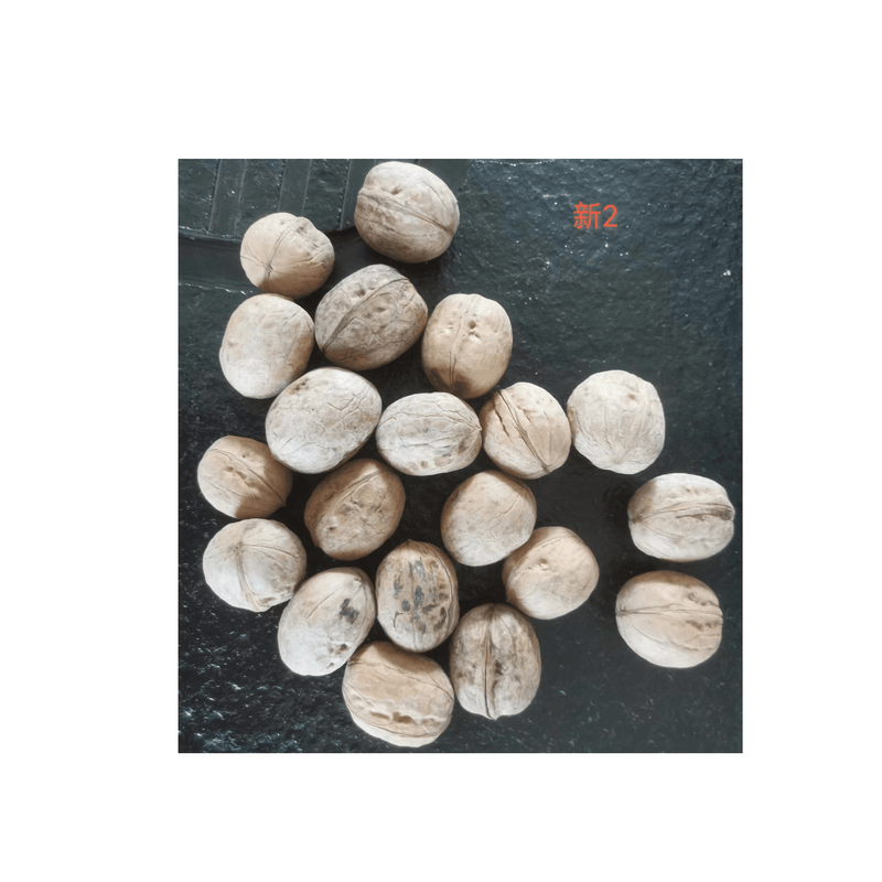 China nut manufacturer wholesale 185/33/xin2 and other high quality organic walnuts - Lnnuts