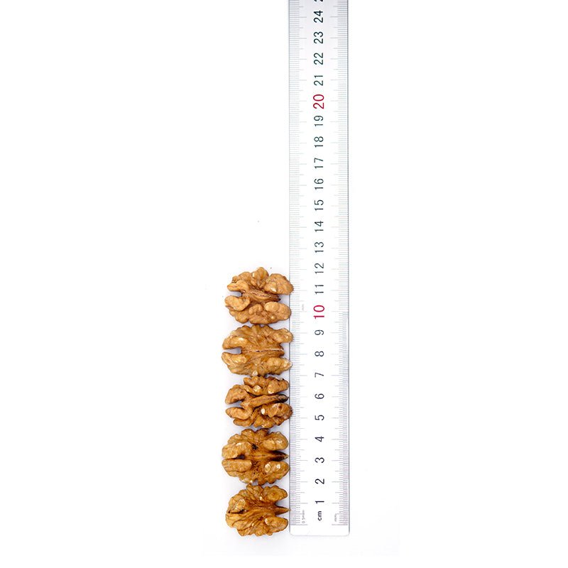 Chinese Factor bulk sale Chinese walnuts raw with cheap price and best quality - Lnnuts