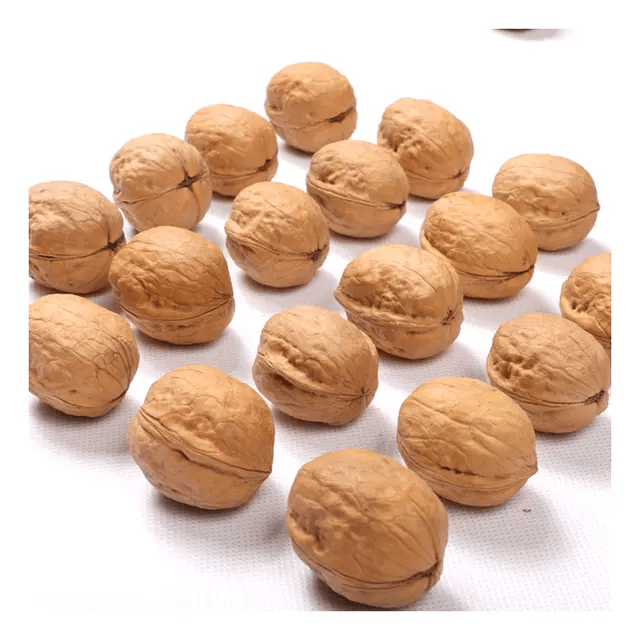 Chinese factories sell various models of organic walnuts in Xinjiang at cheap prices - Lnnuts