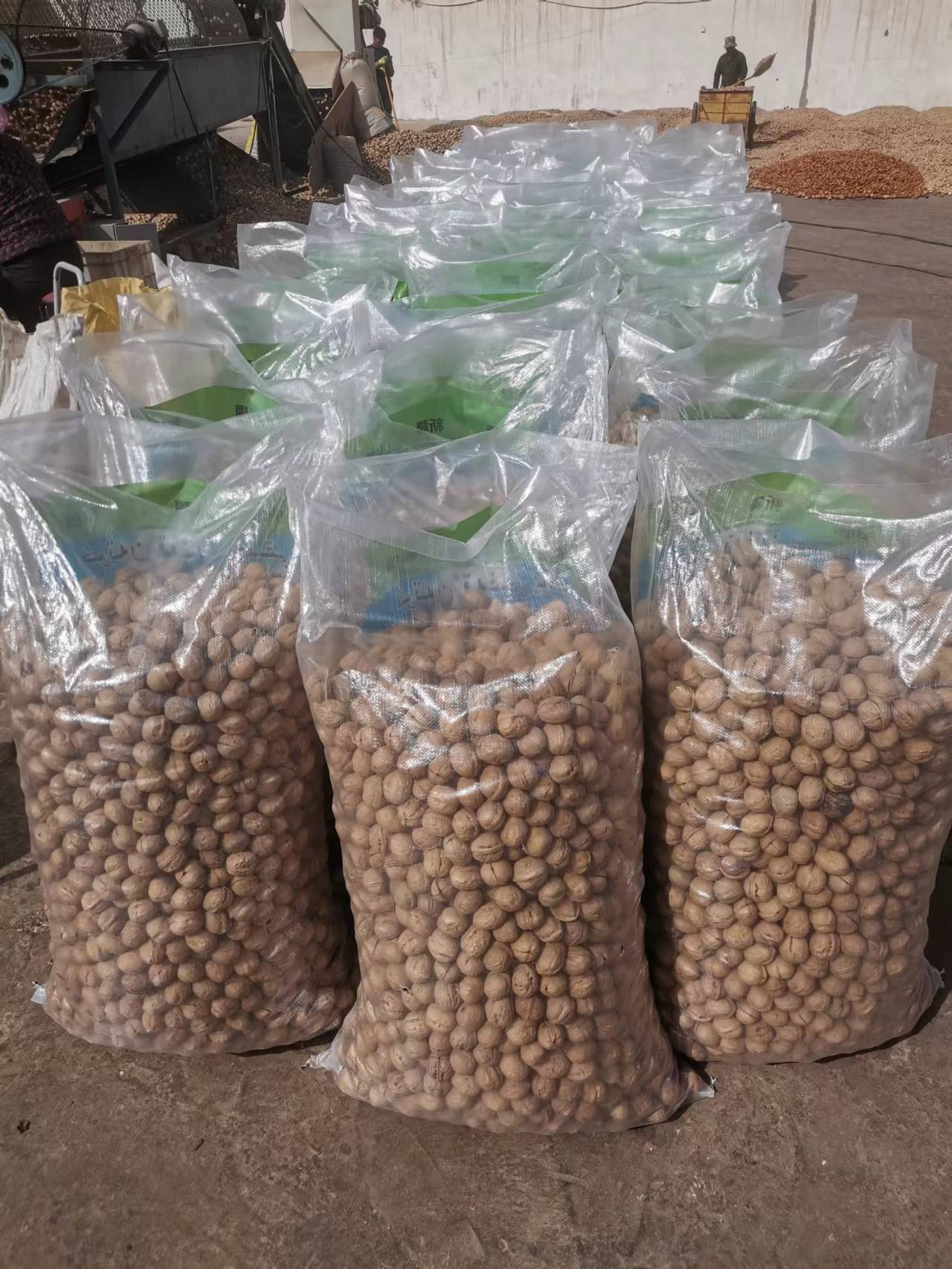 Factory direct sales 185/33/xin2/xingfu walnut and walnut kernels with best quality - Lnnuts