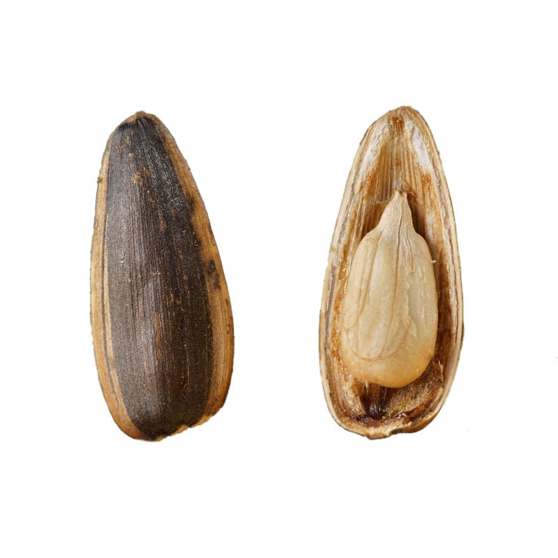 Five-scented roasted sunflower seeds and melon seeds are available in a variety of specifications supplier - Lnnuts