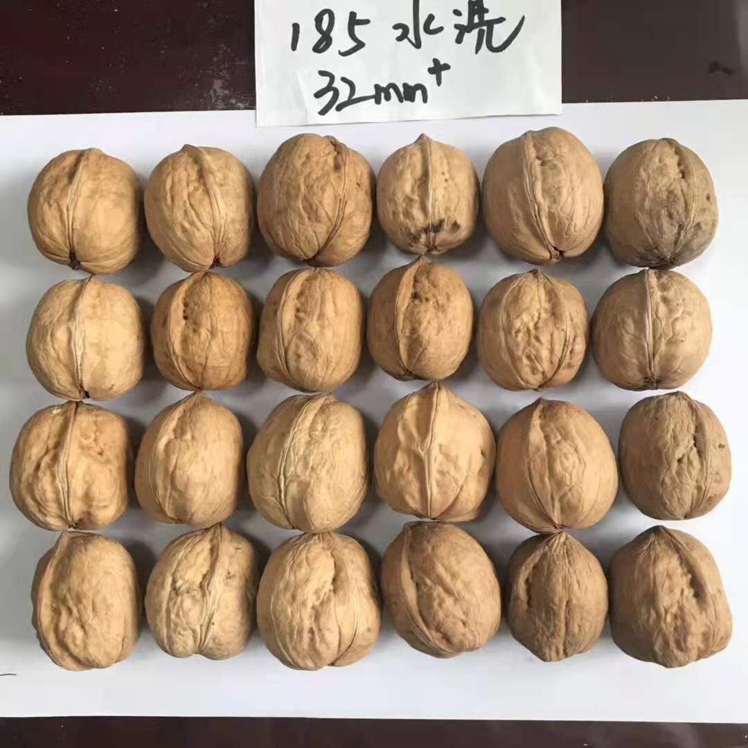 High Quality Best Price Wholesale Factory xinjiang Thin Skin 185 walnut 32mm+ - Lnnuts