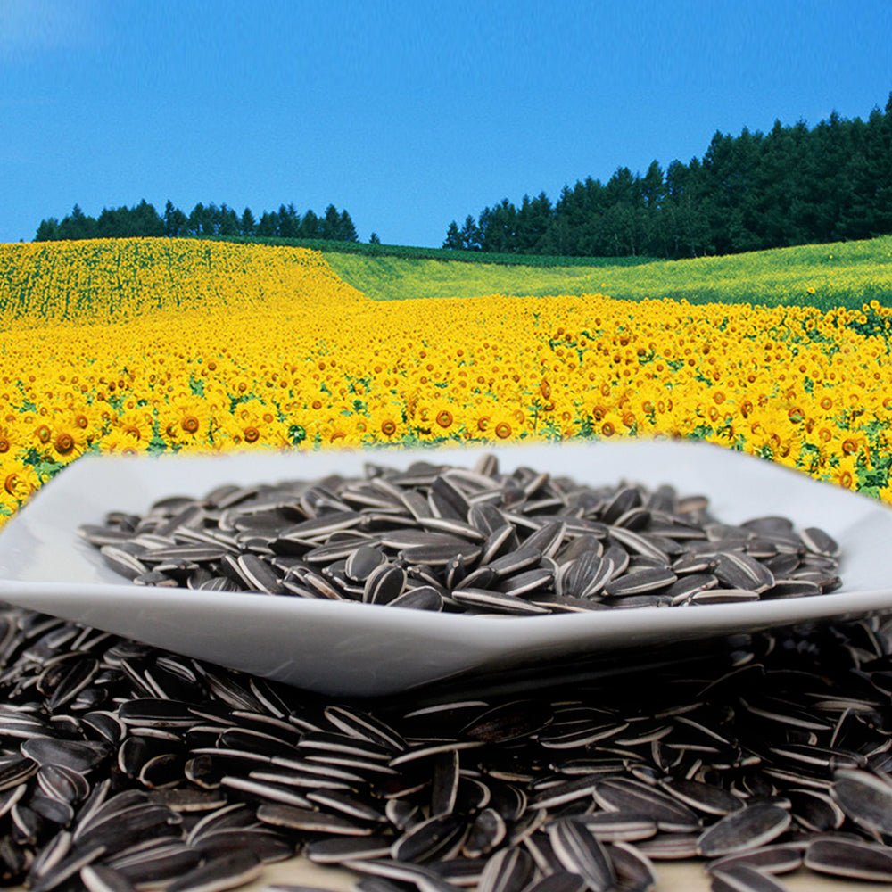 Hot sale 361/363/5009 ect. organic sunflower seeds with cheap price in 2023 from factories in China - Lnnuts