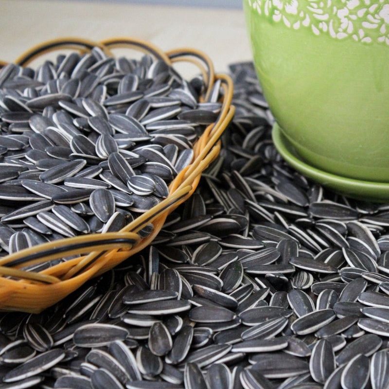 Hot sale 361/363/5009 ect. organic sunflower seeds with cheap price in 2023 from factories in China - Lnnuts