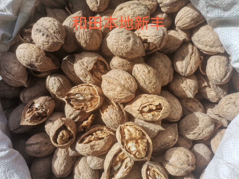 Professional dried fruit and nuts factory wholesale sale fresh and dried walnuts from China - Lnnuts