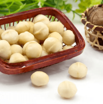 Raw organic chinese Macadamia nuts with shell and Without shell Wholesale - Lnnuts