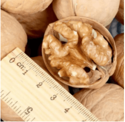 Raw Walnut Wholesale Top Class Walnut Kernels Dried Style Walnut. - Lnnuts