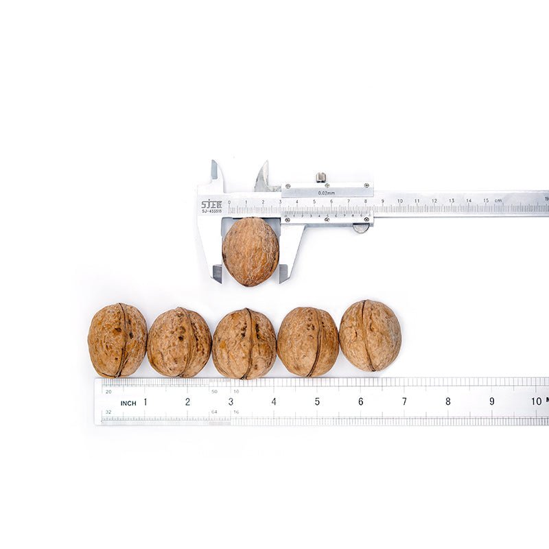 Walnut Halves and Pieces Grown Walnuts, Naturally Gluten Free, No Preservatives, Non-GMO Paper shell walnut 185 - Lnnuts